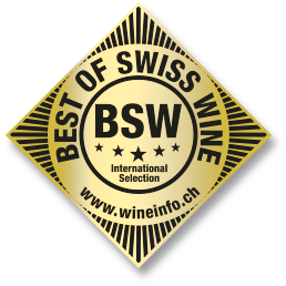 logo BSW